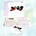 Yes - TALK CD