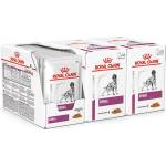 Royal Canin VHN Dog Renal 36 x 100 г