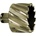 Narnasch 201260u051