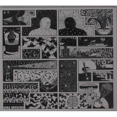 WILL SESSIONS - Electromagnetic Reality CD