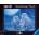 Ravensburger - Puzzle Owls in the Moonlight neon - 500 piese