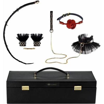 ZALOluxury bondage set in storage black