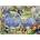 Ravensburger - Puzzle World of Wildlife II - 300 piese