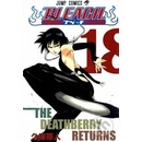 Bleach 18