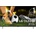 LG OLED55B6ELC