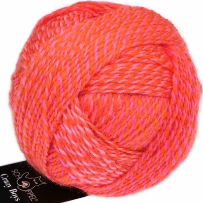Schoppel Wolle Crazy Boys 2705 Gerhard