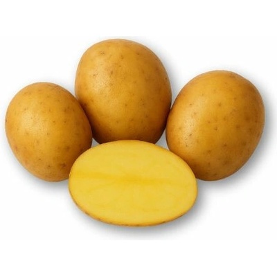 Sadbové zemiaky Soraya 5 kg