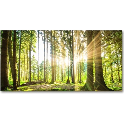 Foto obraz sklo tvrzené les slnko 100x50 cm