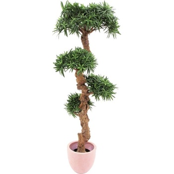 Bonsai palma, 120cm - Heureka.sk