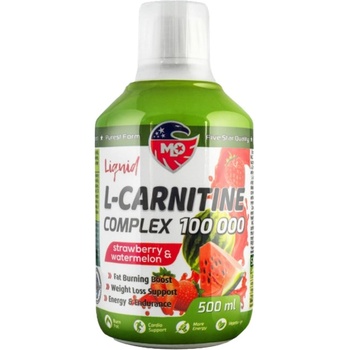 MLO L-Carnitine Complex 100 000 / Tartrate + Acetyl [500 мл] Ягода и диня