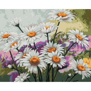 Zuty Maľovanie podľa čísel HARMANČEK NA LÚKE