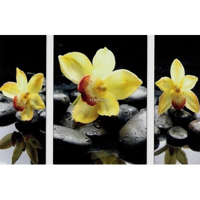 Kameny s orchideji 1 deska 20x50-40x50-20x50