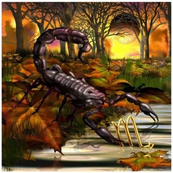 Image 1 of Скорпион 30/40 см