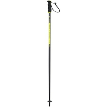 Fischer RC4 Pro 2018/19