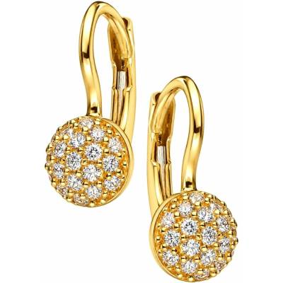 Zlaton Náušnice žluté zlato s kamenem se zirkony visací 1.4cm 1.9g O01072614843
