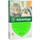 Advantage spot-on pre malé mačky a králiky 40 mg 4 x 0,4 ml