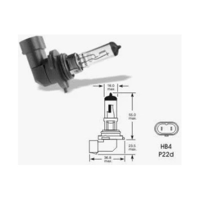 Elta 9006A HB4 P22d 12V 80W
