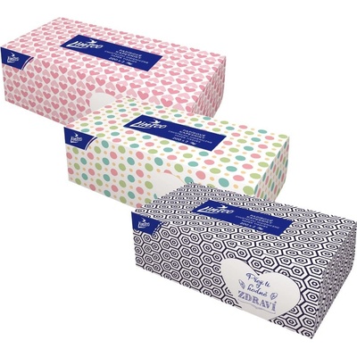 Linteo papírové kapesníčky 2-vrstvé 200 ks – Zboží Dáma