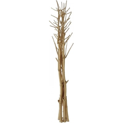Suché větvičky fenyklu, zlatá, 160 cm