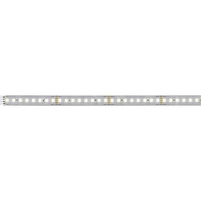 Paulmann 71250