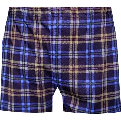 Foltýn dětské trenýrky DT117