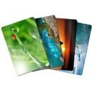 Image 1 of Esperanza EA133