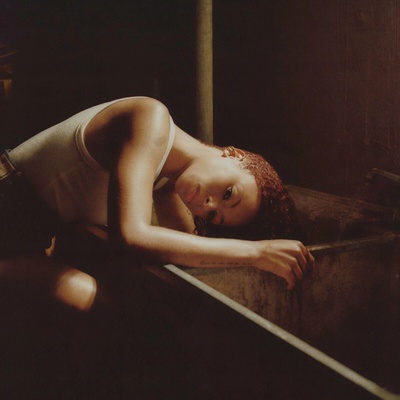 Ravyn Lenae - Bird's Eye (Indie Exclusive) (Limited Edition) (Black & Brown Coloured) (140 g) LP