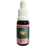 PHI Essences При наранявания и шок - Есенция Арника № 22, капки 15 ml (2 WILD)