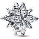 Pandora 793591C01