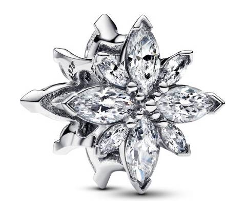 Pandora 793591C01