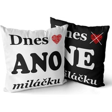 Impar Polštář Dnes ano ne 40x40