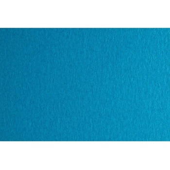 Fabriano Картон Colore, 70 x 100 cm, 140 g/m2, № 233, тъмнос (1530100066)