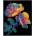 Diamond Dotz adults flocked neon floral