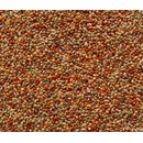 Avicentra Classic Menu Drobný Exot 4 kg