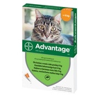 Bayer Advantage - за котки (0, 4 мл x 4) *разтвор* блистерна опаковка