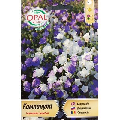 Opal Zi Кампанула Многогодишна