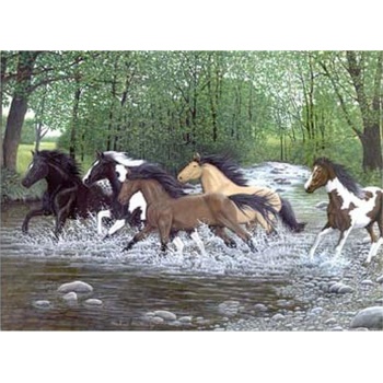 Malování podle čísel Koně běžící vodou
