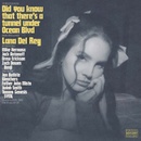 Hudba Lana Del Rey, Did You Know That There's a Tunnel Under Ocean Blvd CD
