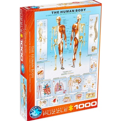 EUROGRAPHICS Пъзел Eurographics от 1000 части - Човешкото тяло (EG60001000)