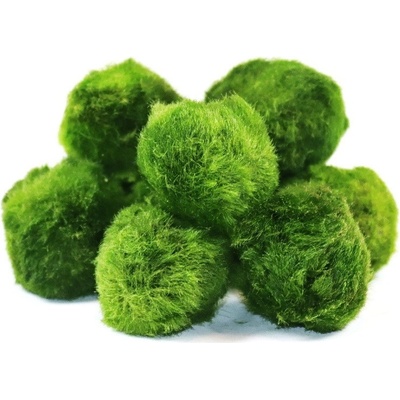 Gardners Set řasokoulí 10 ks