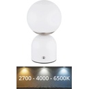 GLOBO 21006W
