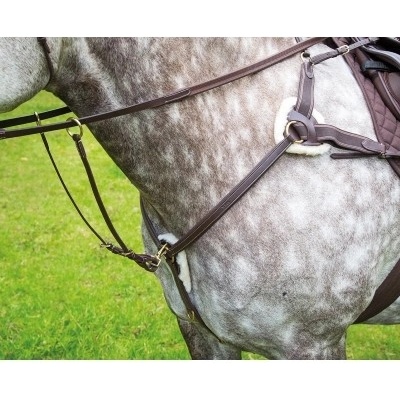 SHIRES Poprsník SALISBURY Five Point Černá – Zboží Dáma