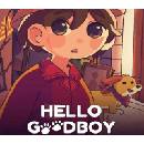 Hello Goodboy