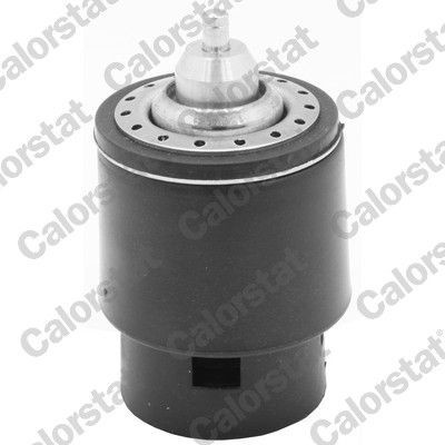 Termostat, chladivo CALORSTAT BY VERNET TH7266.105