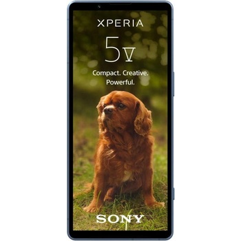 Sony Xperia 5 V 5G 128GB 8GB RAM Dual