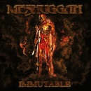 Meshuggah - Immutable Transparent LP