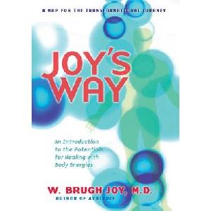Joys Way | W. Brugh Joy (ISBN: 9780874770858)