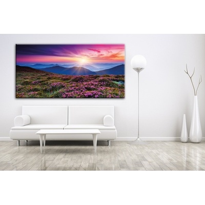 Divio Obraz na plátně louka, vzor 41229 Velikost: 60x120 cm