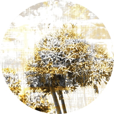 AG Design CR3303 Samolepicí vliesová fototapeta Magic of Dandelion rozměry 140 x 140 cm