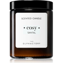 Ambientair The Olphactory Santal Cosy 135 g